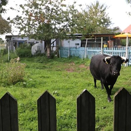 Hibiskus アパート *