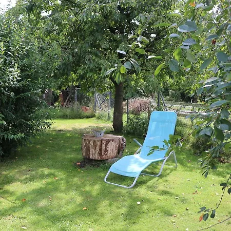 Hibiskus * Kröpelin